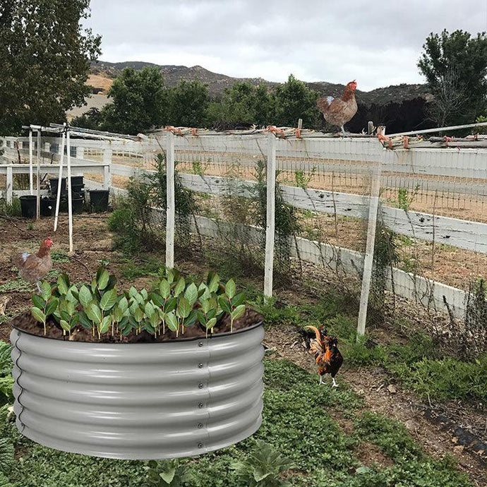 Take Care of The Plants In The Raised Garden Bed