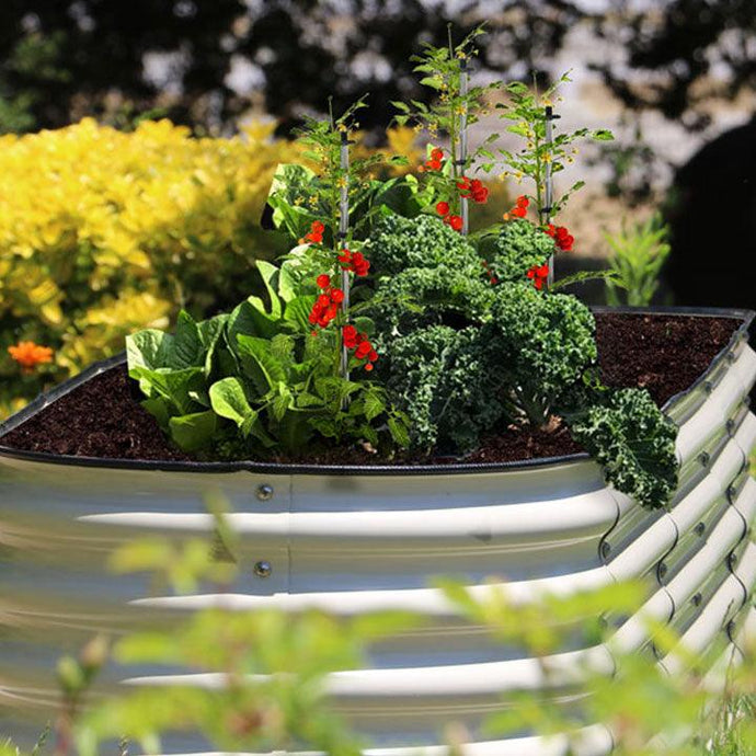 Metal Raised Garden Bed for Gardening