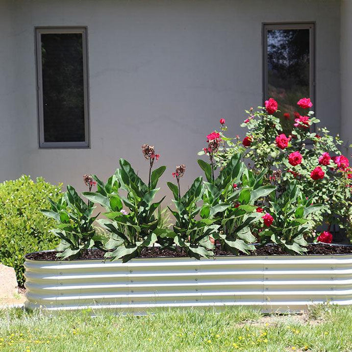 How To Plant Flowers In A Raised Garden Bed