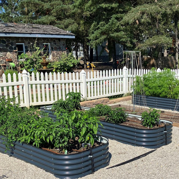 6 Benefits of Raised Vegetable Garden From Olle Garden Bed