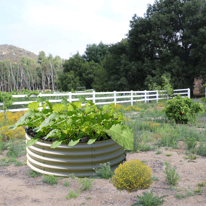 Raised Gardens Beds vs. Traditional In-Ground Gardens – How to Decide