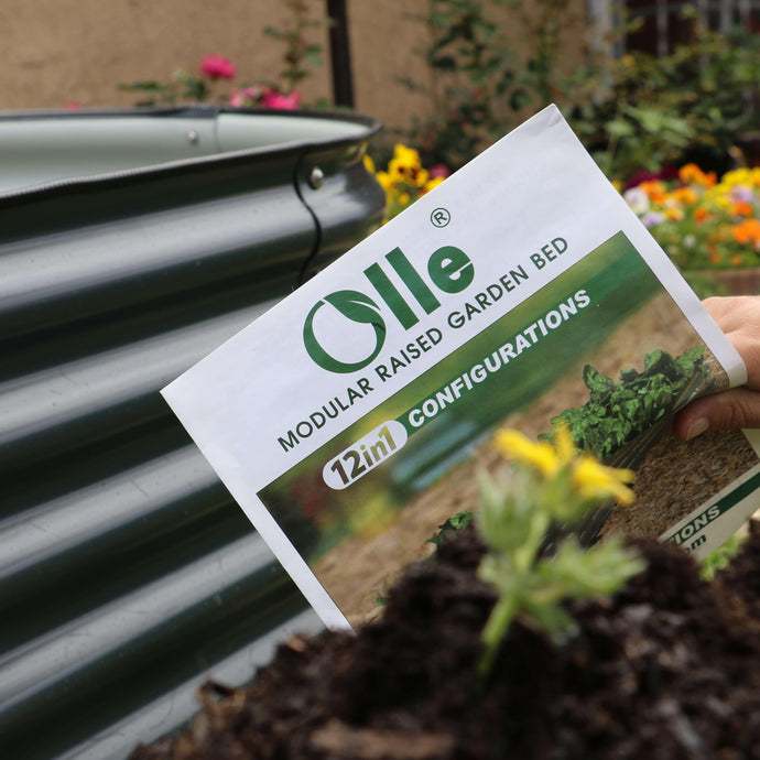 Tips from Olle Garden Bed: When to Harvest Vegetables and Fruits for The Best Flavor