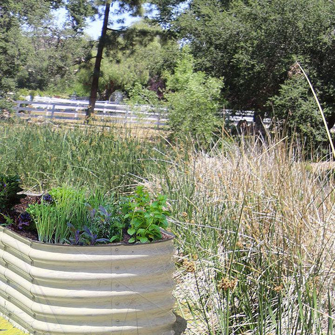 All You Need to Know About How to Kill Weeds with Salt In Your Garden Bed!