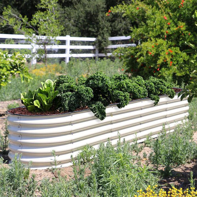 Tips from Olle Garden Bed: Stay Safe in the Garden during Stormy Weather