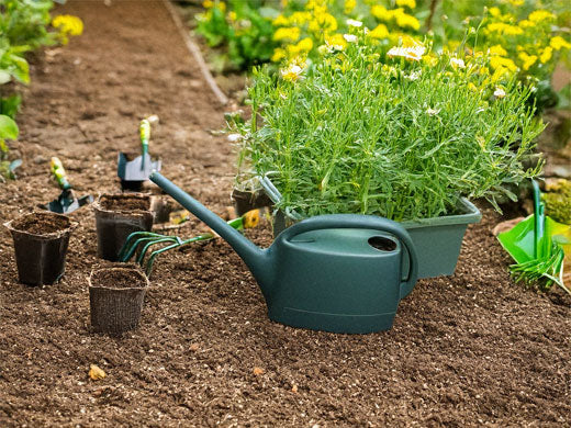 Don't Be Late for Spring. Why You should be Prepping Your Garden, Now!