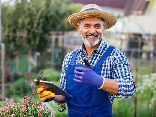 Unleash Your Inner Gardener: Why Metal Raised Beds Are Perfection for Your Veggie Patch