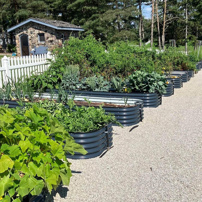 Why Vegetables Grow Better On Raised Garden Beds