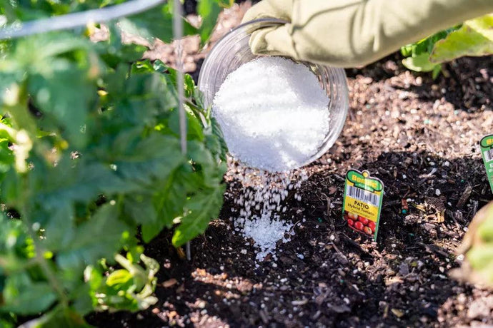 Benefits of Epsom Salts In Your Garden