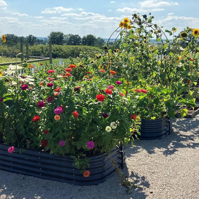 Knowledge from Olle Garden Bed: Benefits Of Mixing Food Scraps Into The Garden