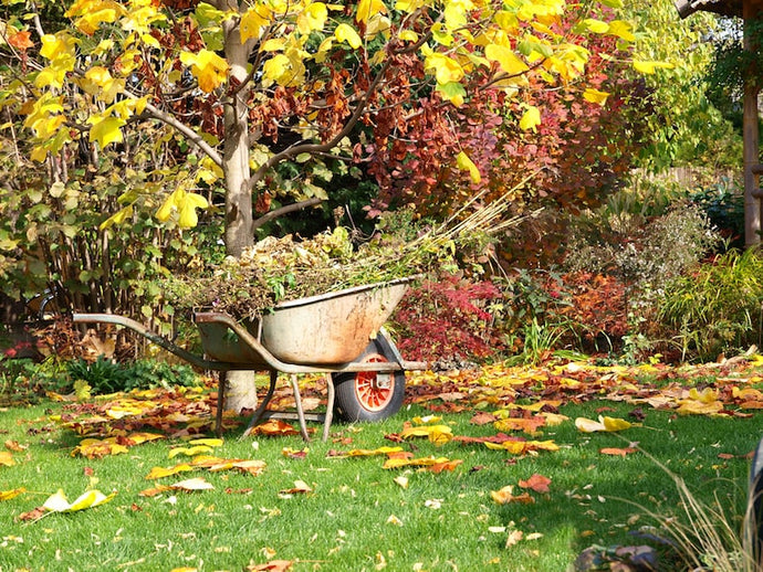 4 Essential Fall Garden Projects to Prepare for Spring